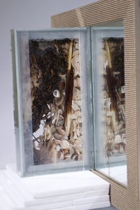<div class='title'>Step Up</div><br>Mirror, shells, porcupine quills, leaves, grass, glass<br>11"h x 12.5"w x 7"d<br>
